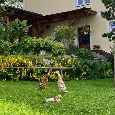 Heissgut Apartment Altenmarkt im Pongau Exterior photo