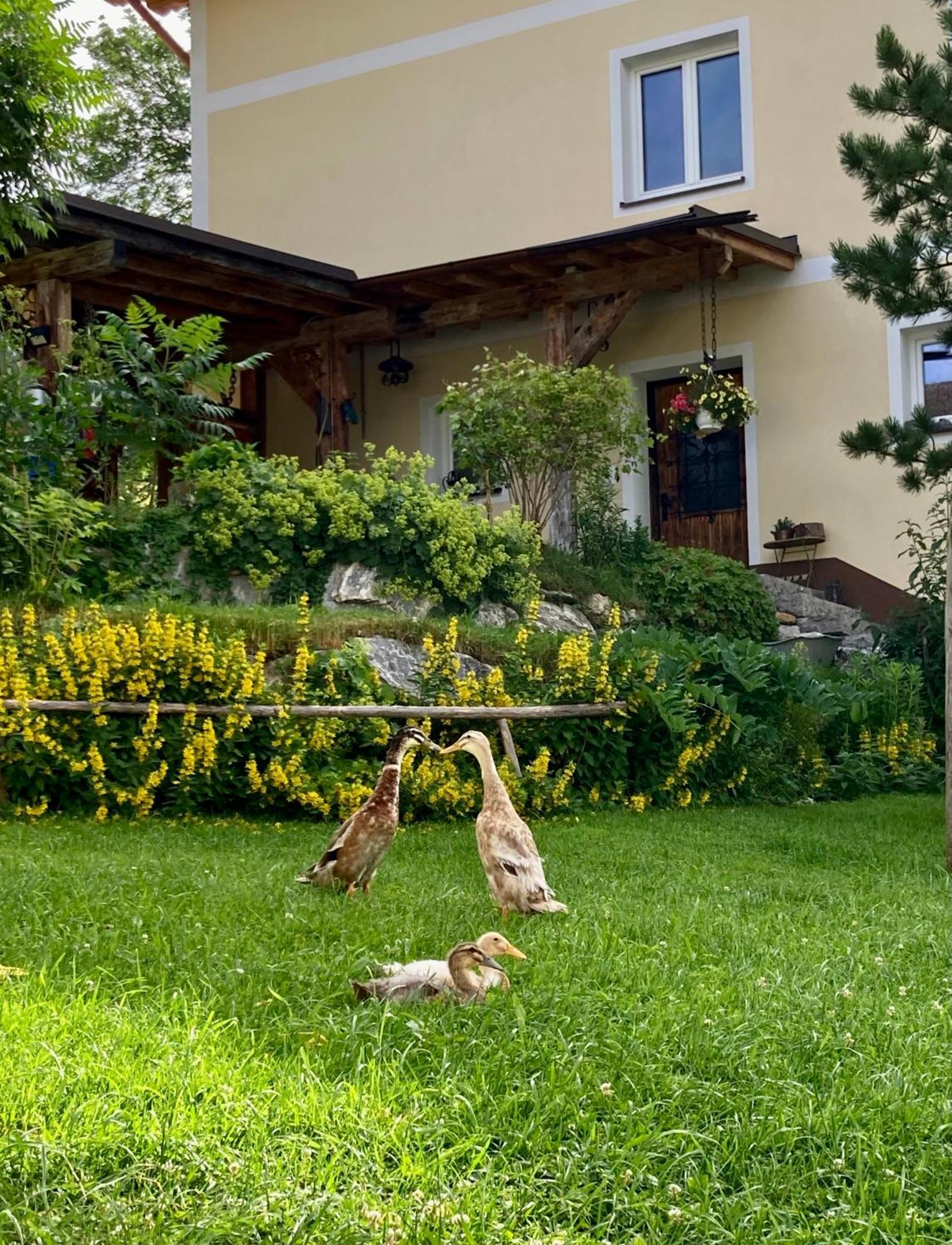 Heissgut Apartment Altenmarkt im Pongau Exterior photo